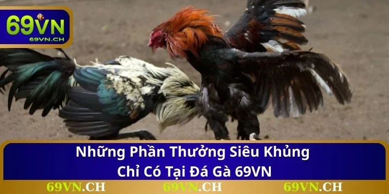 Những phần thưởng siêu khủng chỉ có tại đá gà 69VN