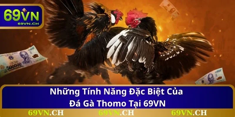Những tính năng đặc biệt của đá gà Thomo tại 69VN